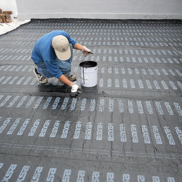 地下室好色先生视频污