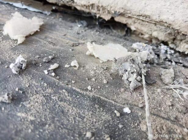 好色先生视频污公司