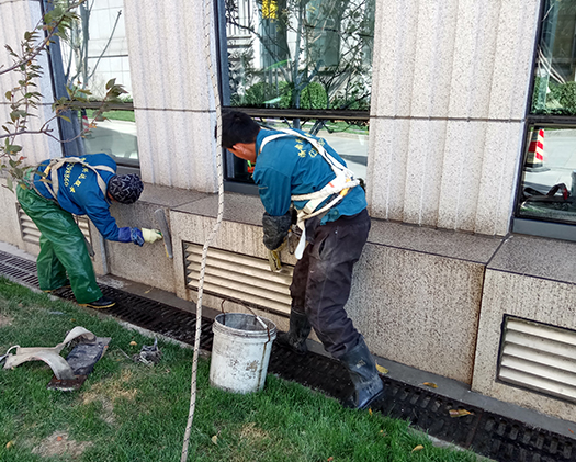 濟南好色先生软件下载