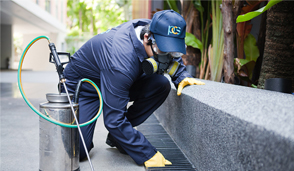 好色先生软件下载